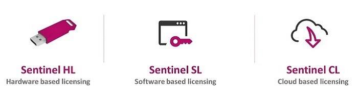 Sentinel HL Pro-02