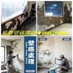 桃園壁癌,桃園壁癌處理,桃園壁癌推薦,壁癌處理桃園,桃園壁癌處理費用,壁癌處理桃園,桃園壁癌油漆,桃園壁癌費用,壁癌整修桃園,壁癌處理桃園區,桃園壁癌處理費用行情,桃園壁癌估價,桃園屋頂防水,桃園防水推薦,桃園防水工程